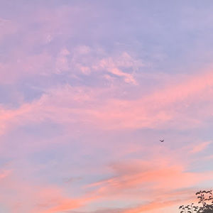 Meet your Posher, Sydney